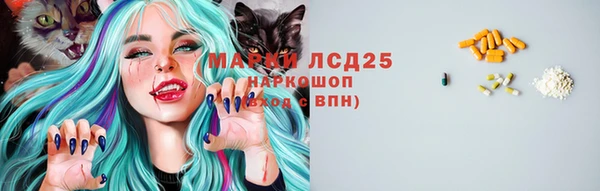 гидропоника Абаза