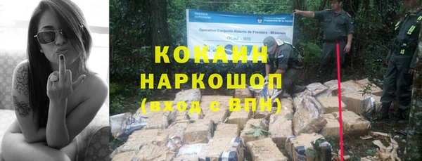 PSILOCYBIN Рославль