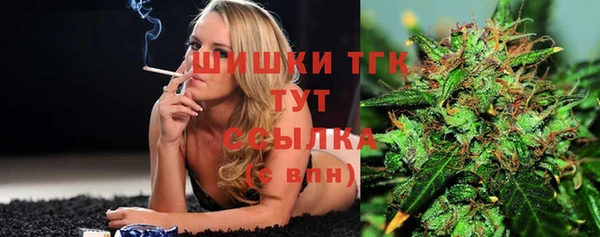бошки Алексин
