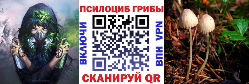 Псилоцибиновые грибы прущие грибы  MEGA маркетплейс  Курск  закладка 