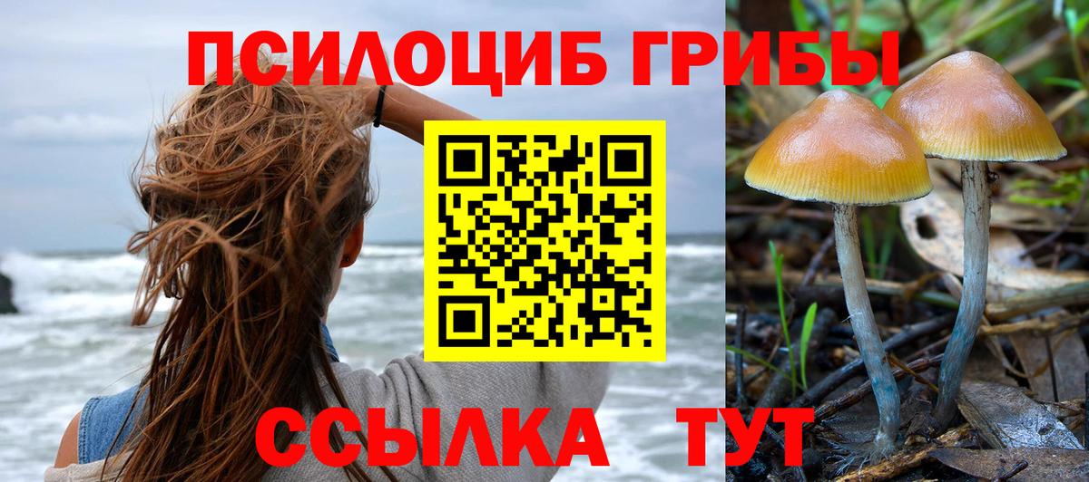 Курск  Галлюциногенные грибы мухоморы  Вход с VPN  Псилоцибиновые грибы прущие грибы 