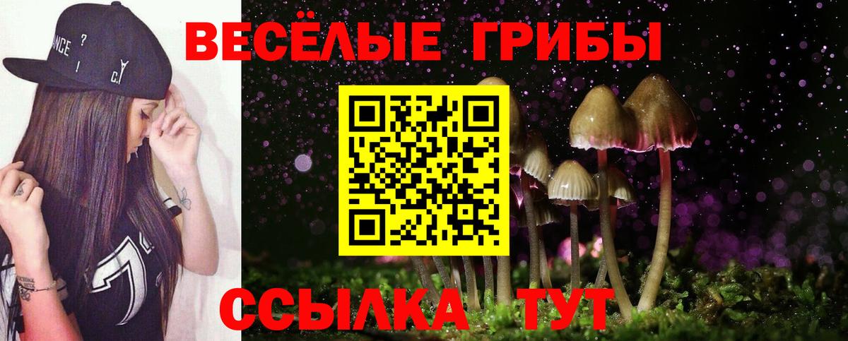 Галлюциногенные грибы ЛСД Курск